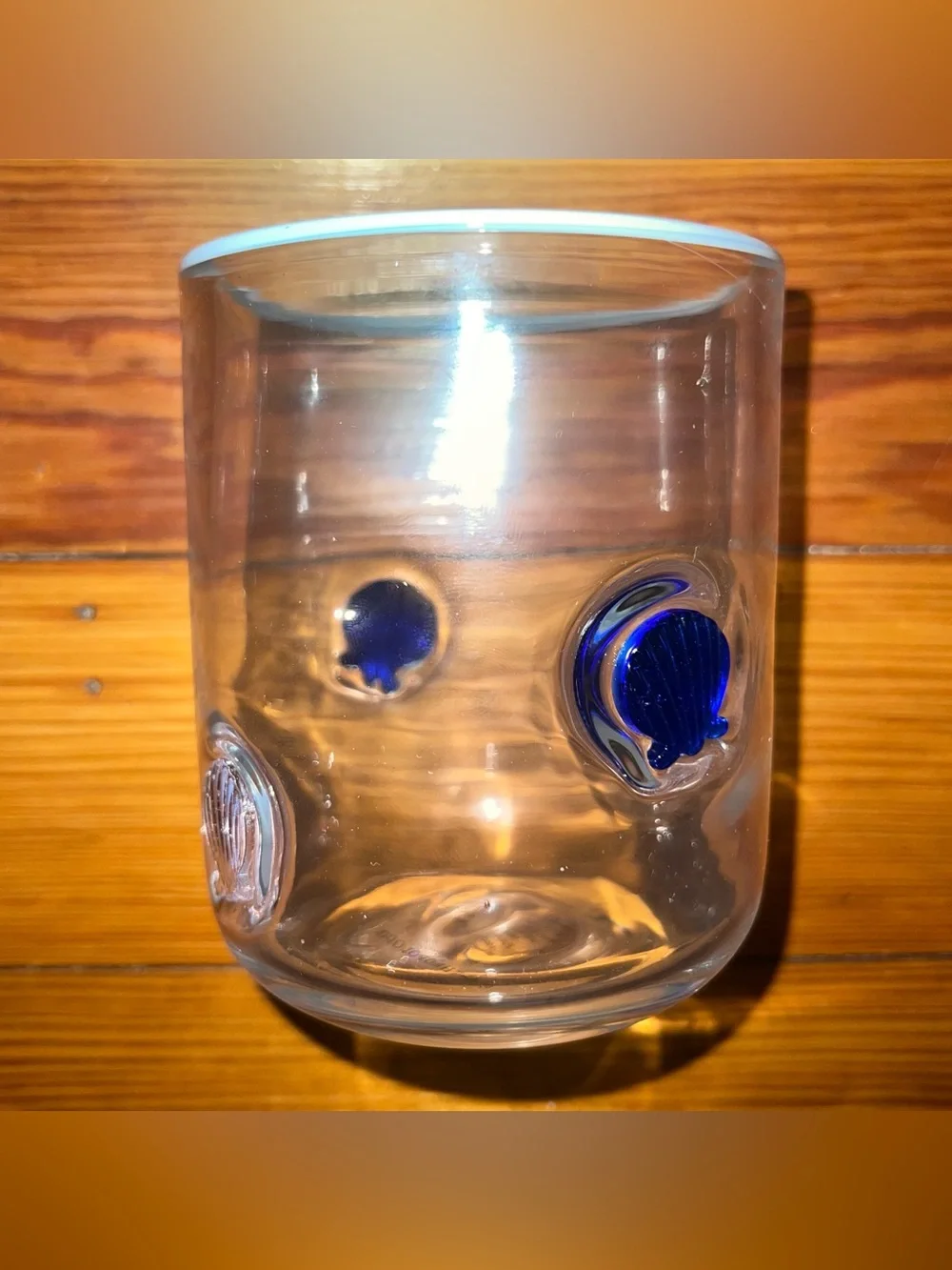 damaged ANTHROPOLOGIE Icon Seashell Glass